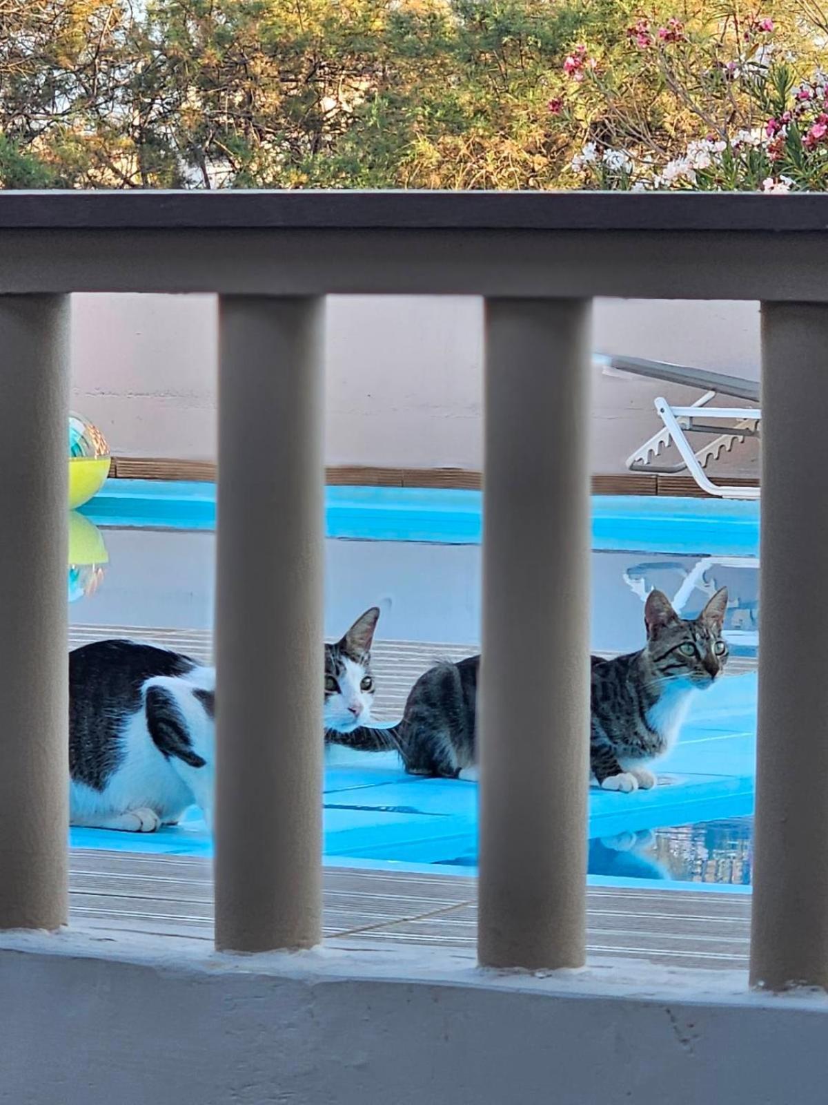 Κατερινα Διαμέρισμα Σταυρός Εξωτερικό φωτογραφία